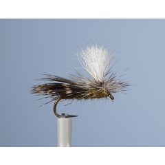 Emergente Fly JMC JMC 13 H16