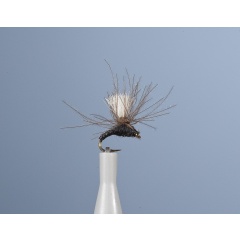 Emergenti Fly JMC JMC 15 H18