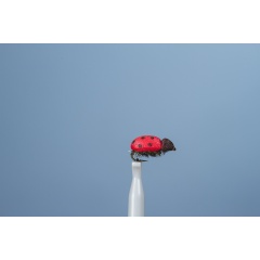 Coleottero JMC a terra JMC Beetle H14