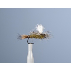 Emergente Fly JMC JMC 26 H16