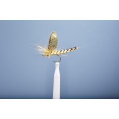 JMC Dry Fly JMC maggio 105 H10