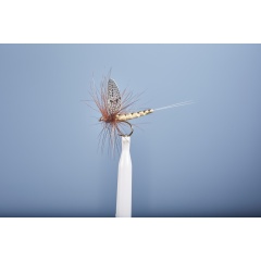 JMC Dry Fly JMC maggio 106 H12