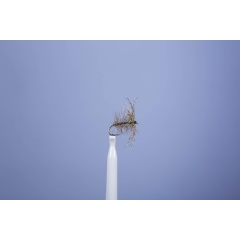 JMC Palmer Fly 10 H14