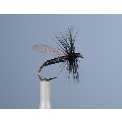 Earth Fly JMC Ph 14 H14