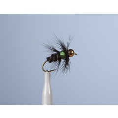 Carnivoro Fly JMC Montana St 38 H10