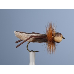 JMC Grasshopper Fly 4 H10