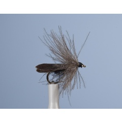 Sedge Fly JMC ZC 20 H16