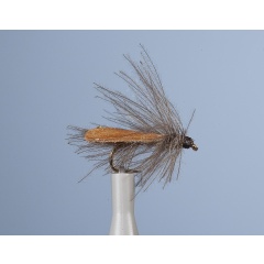 Sedge Fly JMC ZC 30 H16