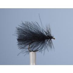 Sedge Fly JMC ZC 40 H14