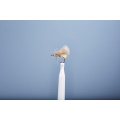 Sedge Fly JMC ZC 52 BL H14