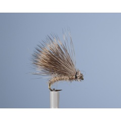 Sedge Fly JMC ZC 60 H16