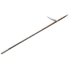 Punta tahitiana Salvimar per Polespear