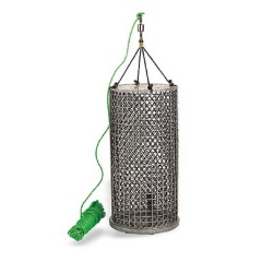 Gamberi Amorcoir PMSeanox