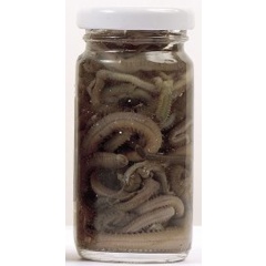 Esca naturale in scatola Grauvell vermi