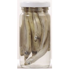 Esca naturale in scatola Grauvell Smelts