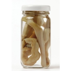 Esca naturale in scatola Grauvell Bibis