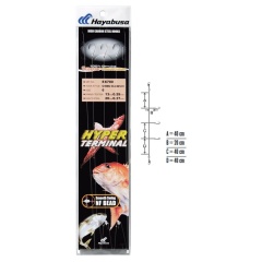 Terminali Hayabusa EX700