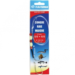 terminali Flashmer Conger, Skate, Lean