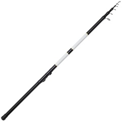 Canna bolognese Dam Base-X Bolo