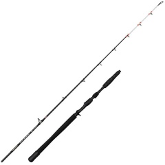 Canne casting Penn Brigade Dentex