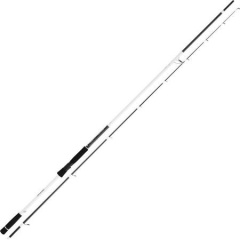 Asta Daiwa Infeet Seabass II asta