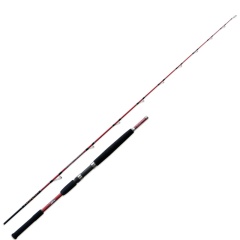 Canna da pesca Lineaeffe Barca lenta da jigging 2.10m 160 gr