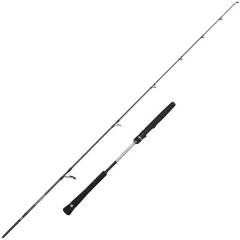 Canne spinning Penn Prevail III Light Jigging spin