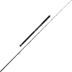 Canna da pesca Penn Regiment II Halibut