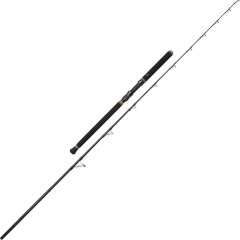 Canna Da Spinning Penn Regiment II Tuna