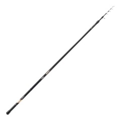Canna da pesca Mitchell Epic R