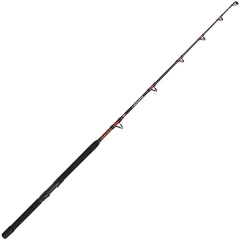 Canne traine Penn Warfare II Trolling & Drifting