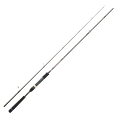 Canna da pesca spinning Daiwa Crosscast