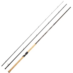 Canna da pesca esca naturale Daiwa Team Daiwa