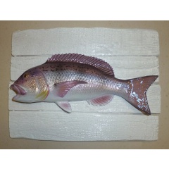 Scultura di denti su telaio