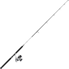 Set jigging Daiwa DW04