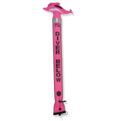 Pedagno subacqueo Best Divers Dauphin