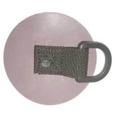 Ghiandola passante ad anello D