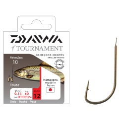 Ganci montati Daiwa Trote speciali