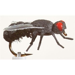 JMC Earth Fly JMC House Fly H14