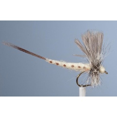 JMC Volo a secco effimero JMC 11 maggio 11 H10