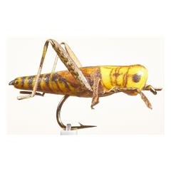 JMC Grasshopper Fly 24 H10