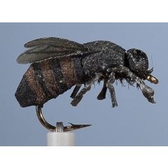 JMC Taon H10 Earth Fly