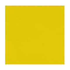 Plaque de PVC Paddle Kayak 50x50CM Jaune