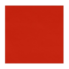 Plaque de PVC Paddle Kayak 50x50CM Rouge