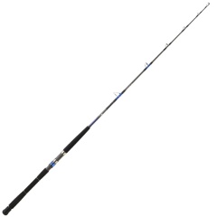 Canna da pesca Daiwa Saltiga Deep EX