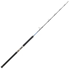 Canna da spinning Daiwa Saltiga Canna da spinning