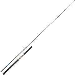 Canna da spinning Daiwa Saltiga Lancer