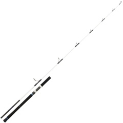 Canna spinning Daiwa Saltist