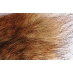 JMC Coyote Hair