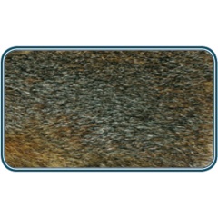 JMC Scoiattolo sulla pelle